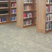 High School classrooms, hallways, laboratory, library and lobby