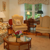 Residential Living Room Hardwood and Area Rug
